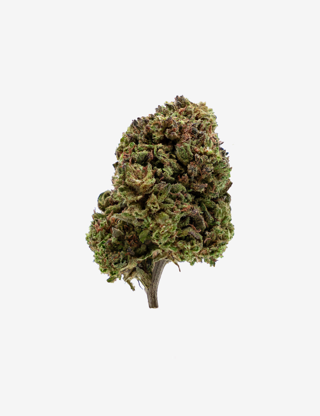 Critical Haze CBD