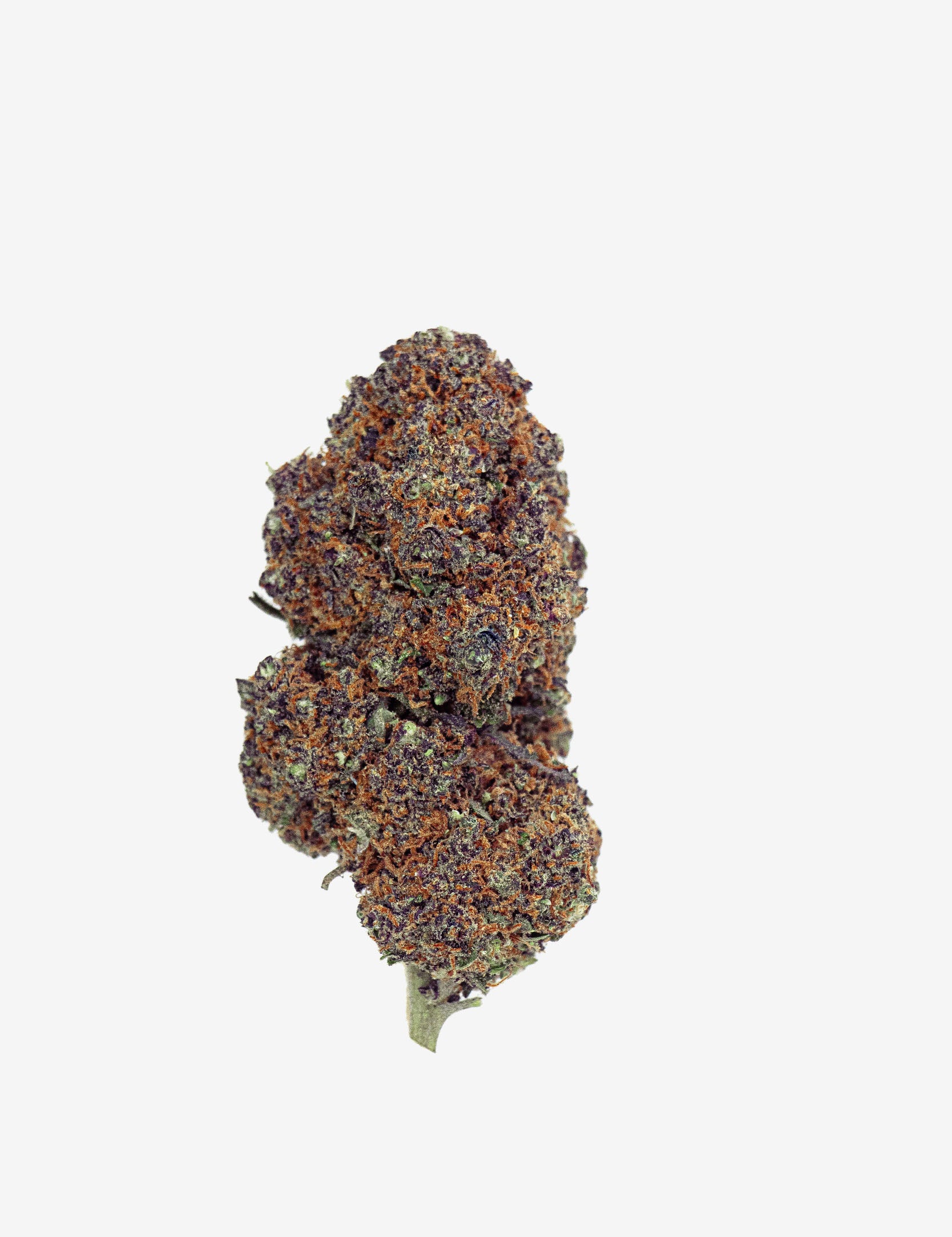 Purple CBD